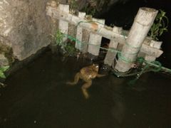 -西湖天地