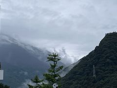 -都江堰中华大熊猫苑
