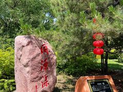 -大槐树寻根祭祖园