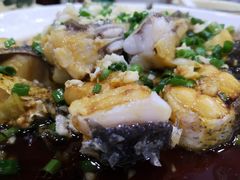 -全乐鱼馆·淳牌有机鱼直营店