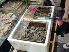 -岳各庄批发市场(西四环中路店)