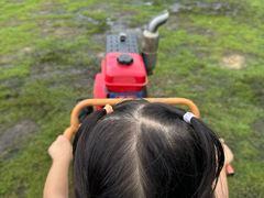 -长洲岛都市农业公园