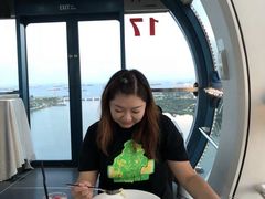 -新加坡摩天观景轮