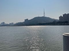 -野狸岛
