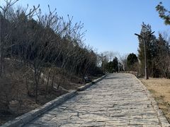 -南翠屏公园