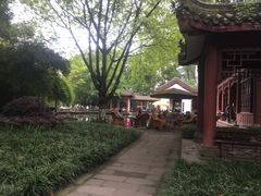 -温江公园
