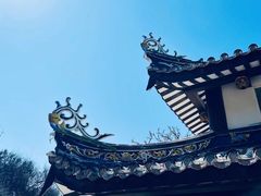 -湄洲岛