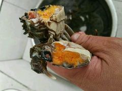 -小陆莲花蟹园农家乐(莲花岛店)