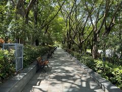 -深圳国际园林花卉博览园