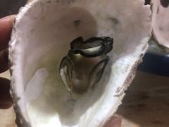 -七裕庄(凯旋南路店)