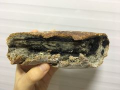 -85度C(上海广元店)
