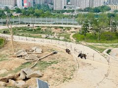 -青藏高原野生动物园