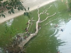 -泉州海丝野生动物世界