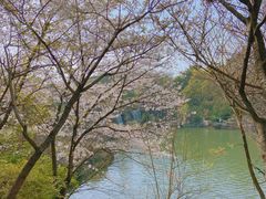 -白马涧龙池景区