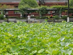 -四川大学(望江校区)