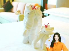 -济南喜来登酒店