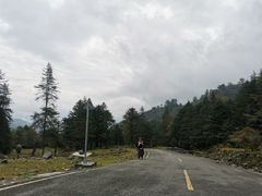 -硗碛藏寨·神木垒景区
