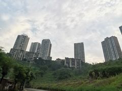 -大渡口区义渡公园