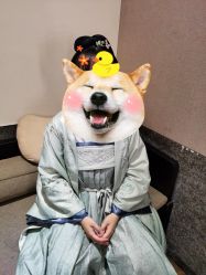 -盘子女人坊古装写真摄影(天津总店)