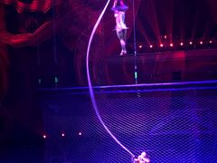 -珠海横琴长隆《卡卡虎奇遇记》