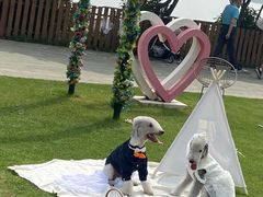 -太阳岛度假酒店