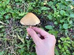 -丹东天桥沟景区