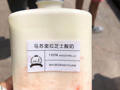 -白色日记·手作酸奶(麦凯乐店)