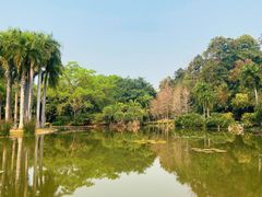 -中国科学院西双版纳热带植物园