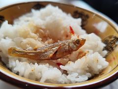 -来韶饭店