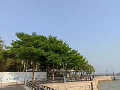 -深圳湾公园(南山区)