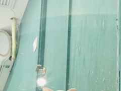 -飞行喵MR PILOT|猫舍·猫咖(静安大融城店)