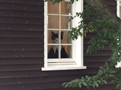 -三鹰之森吉卜力美术馆