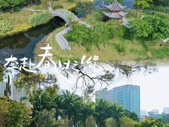 -四海公园(南山区)