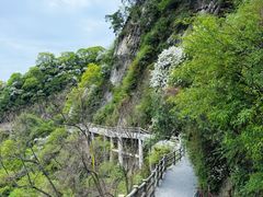 -少华山国家森林公园