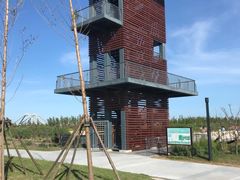 -春花秋色城市公园