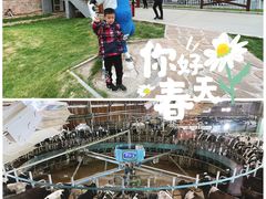-君乐宝优致牧场