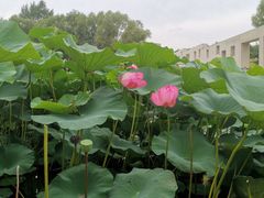 -长春世界雕塑园冰雪艺术天地