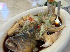 -酝· 大师滇菜(公园1903店)