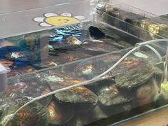 -十八字金银饰·拼豆·开蚌手工体验团建(君太百货店)