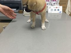 -爱侣宠医·鹦鹉专科·小型哺乳类·异宠专科(灵石路店)