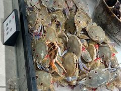 -千滋百味自助海鲜烤肉(布吉景华店)