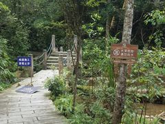 -九龙江国家森林公园