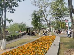 -上海长兴岛郊野公园