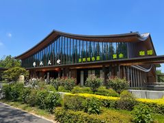 -东平国家森林公园