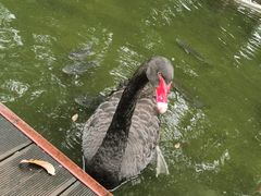 -海南热带野生动植物园