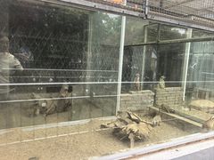 -保定市动物园