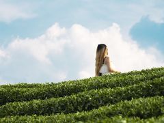 -龙坞茶村