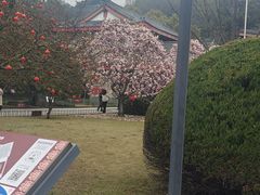 -浙江省博物馆(孤山馆区)