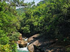 -广州白江湖森林公园