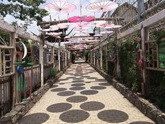 -呀路古热带植物园